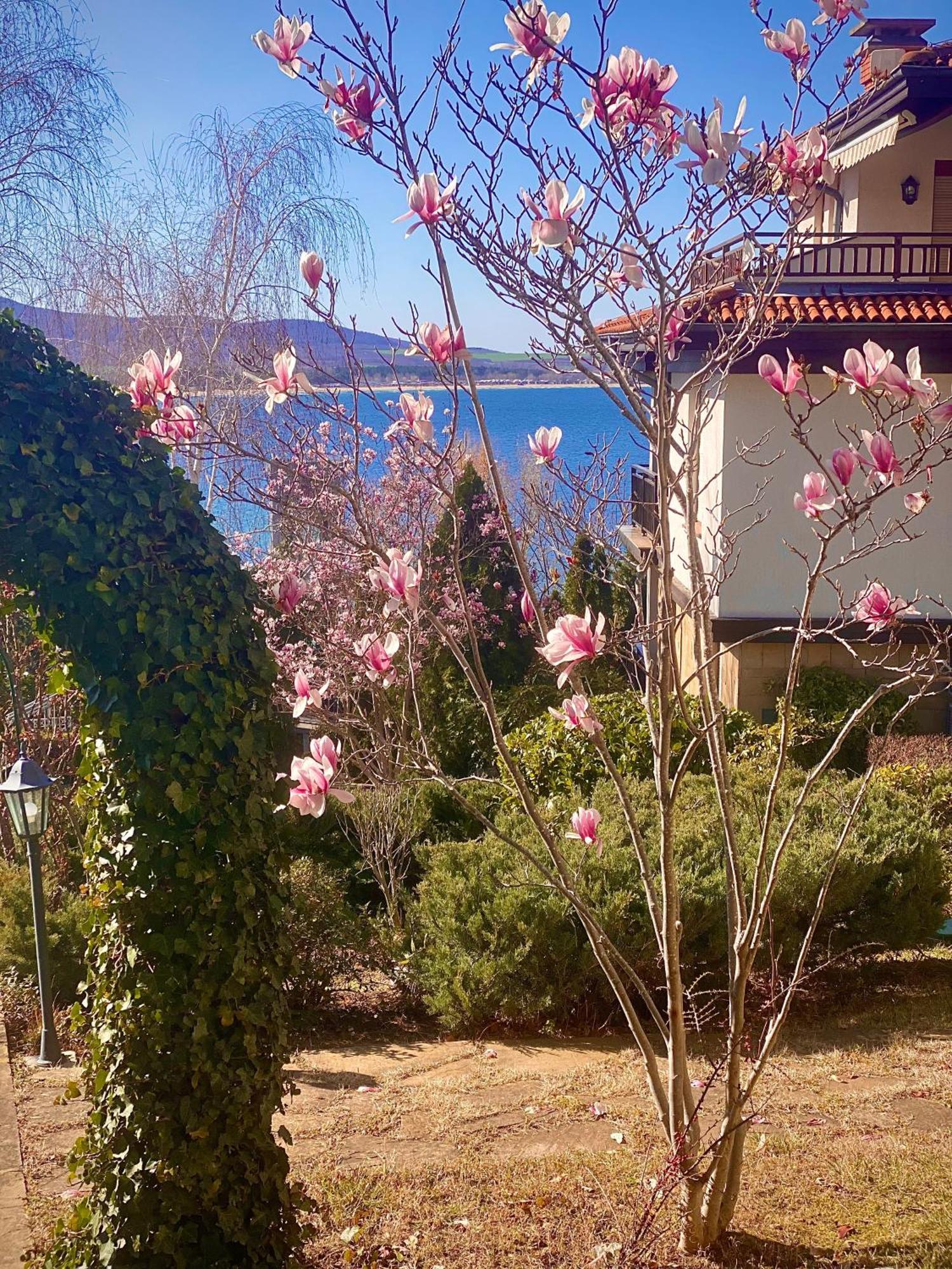 Aj Apartment 1 With Pool View, Santa Marina Holiday Village, سوزوبول المظهر الخارجي الصورة